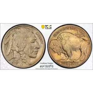 Nickel Five Cent Pieces-Indian Head or Buffalo (2)