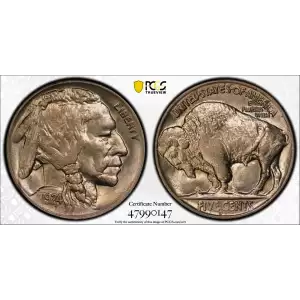 Nickel Five Cent Pieces-Indian Head or Buffalo (2)