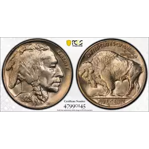 Nickel Five Cent Pieces-Indian Head or Buffalo (2)